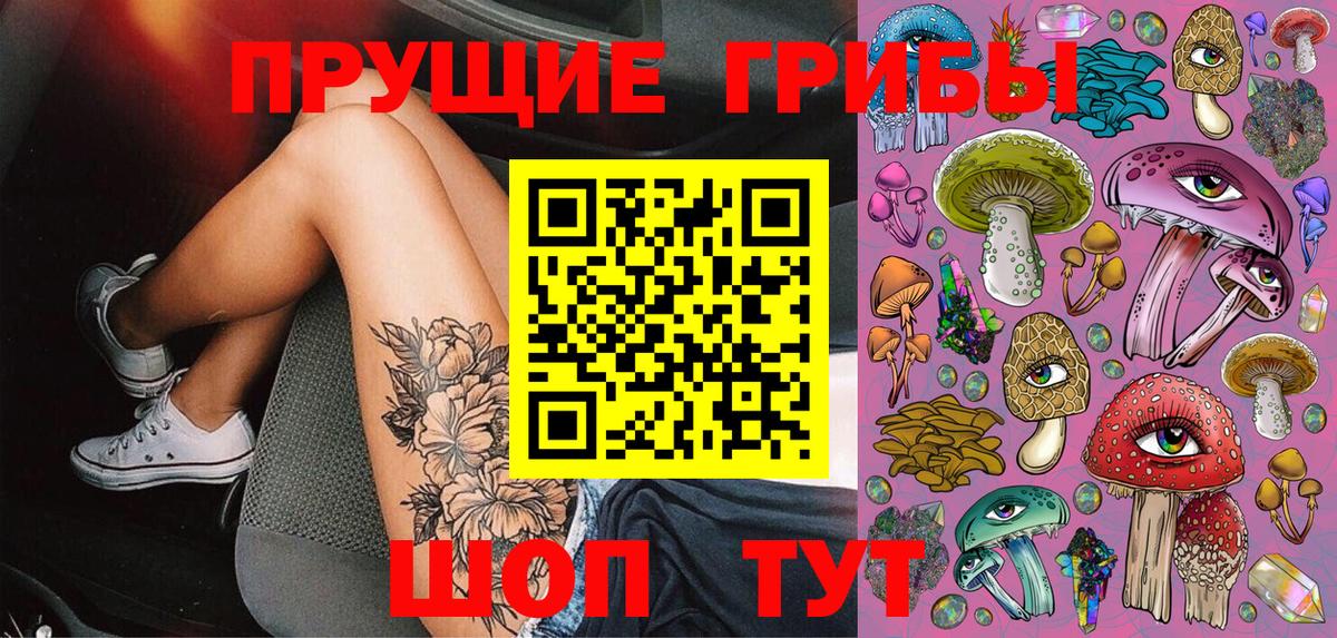 Касимов  Галлюциногенные грибы Magic Shrooms  Вход с VPN  Галлюциногенные грибы MAGIC MUSHROOMS 